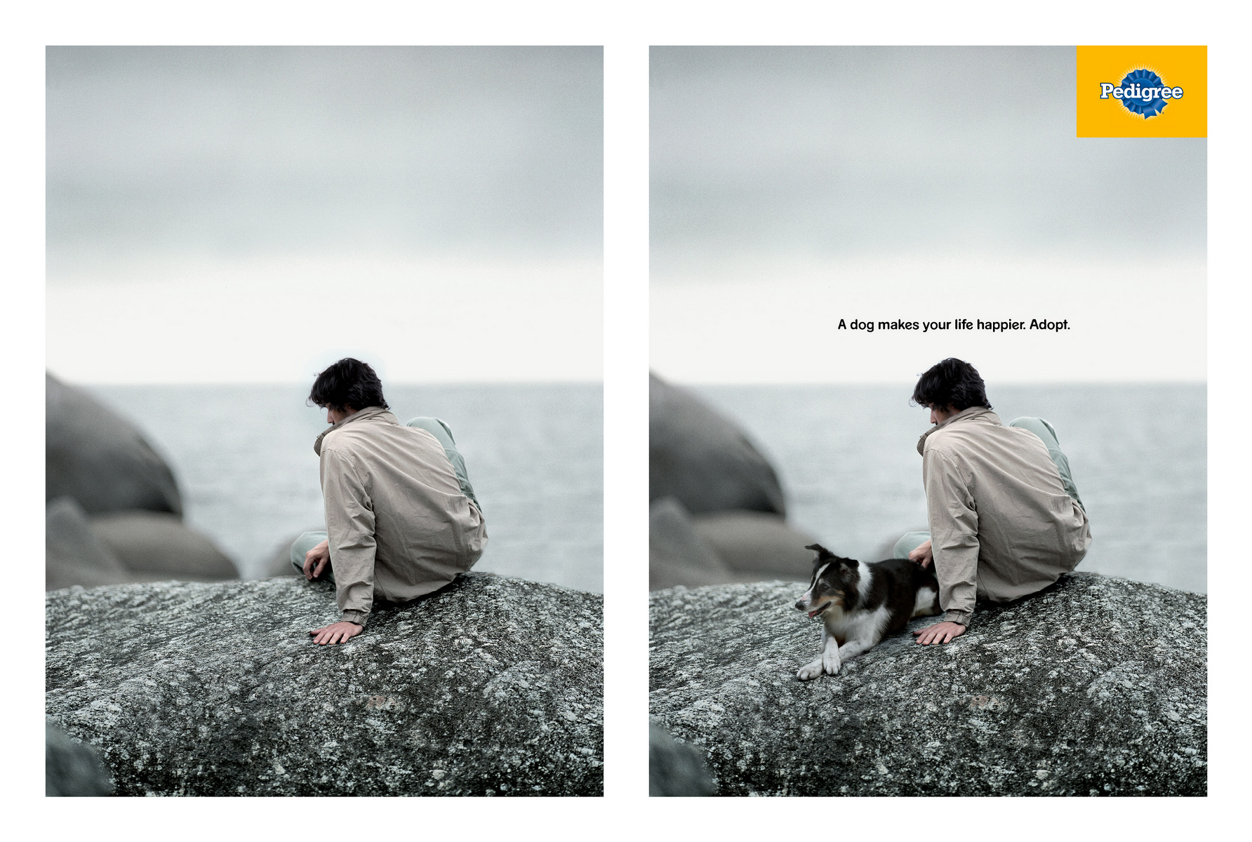 Campaña de Pedigree